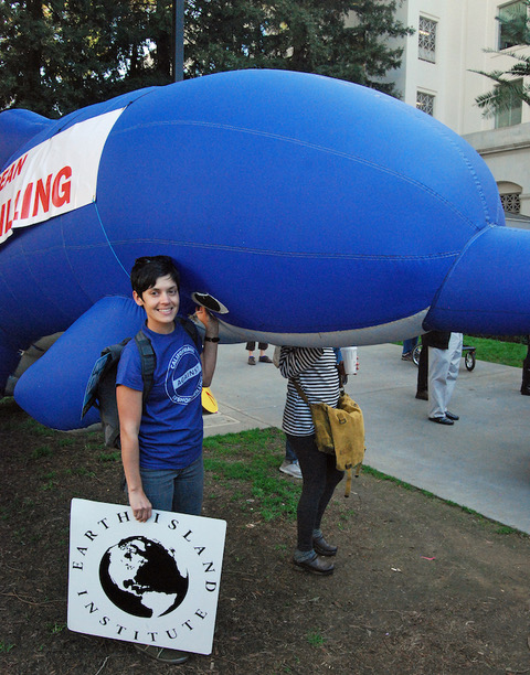 Photo of Sumona at Sacramento demonstration against Trumps offshore oil drilling plan, holding up IMMP’s inflatable blue dolphin.  Photo by Mark J. Palmer