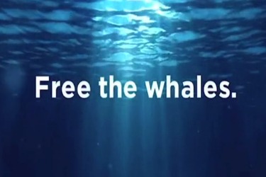 SeaWorld's Lies Debunked