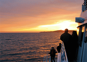 Private Condor Express Sunset Cruise for up to 100 Guests in Santa Barbara, CA Plus Alma Rosa Winery Selections