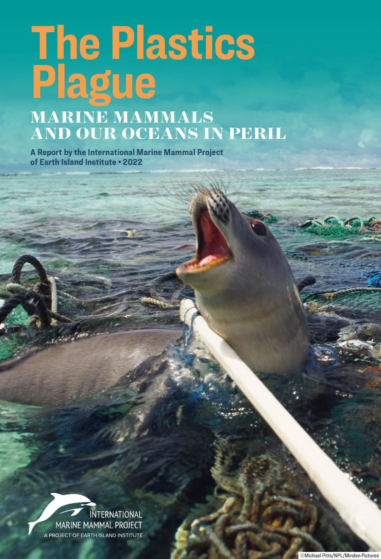 Plastic Pollution & Plastic Fishing Gear Kill and Injure Marine Mammals -  International Marine Mammal Project