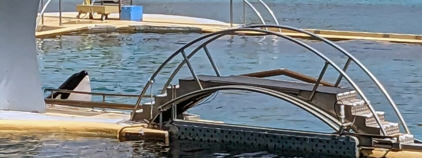 Marineland Antibes.  Photo Credit: Kelly Wilsey