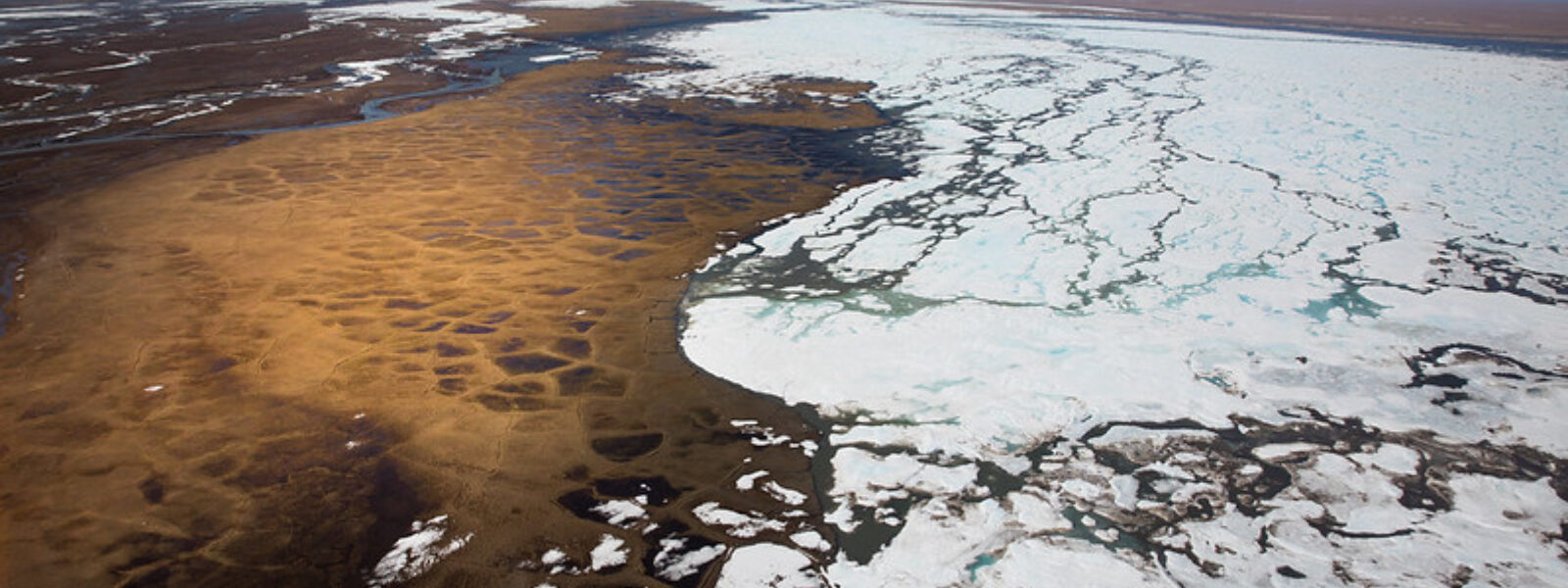 The Coastal Plain, Heart of the Arctic National Wildlife Refuge, Alaska.